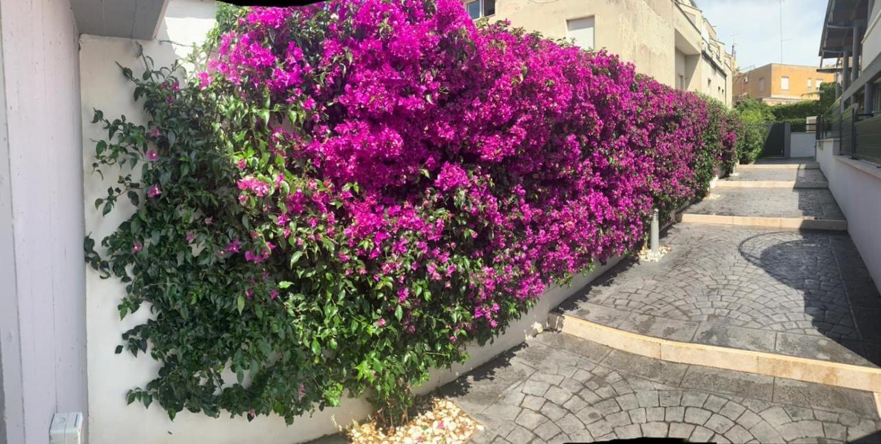 The Shabby House - Charming Seaside Retreat In Central Anzio, Steps From Beach And Train Station Экстерьер фото